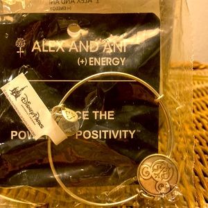 Still in plastic.. Purchased at WDW never opened or worn